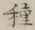 글자 種