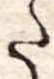 𛁠の位置