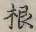 根の位置