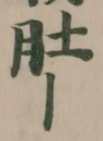 肚，已得其位