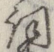 Đã định vị 詞