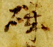Đã định vị 磯