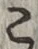 文字 こ