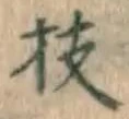字枝
