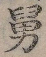 Đã định vị 舅