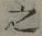 글자 之