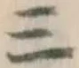 Character 三