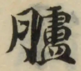 已定位臚