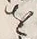 字を