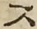 文字 ス