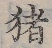 豬 위치 확인됨