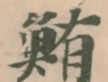 鮪の位置