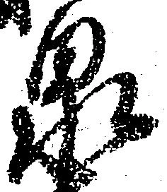 泉 위치 확인됨