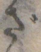 ざ 위치 확인됨