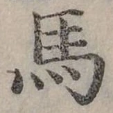 馬 위치 확인됨