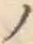 字ノ
