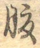 腹 위치 확인됨