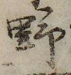 已定位野