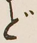글자 ど