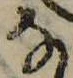 𛂂 위치 확인됨
