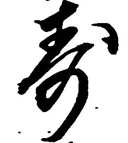 已定位寿