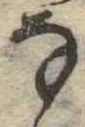 位置 確認된 𛂂
