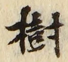 “樹”字