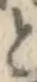 文字と