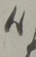 峯 위치 확인됨