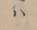 已定位𛂞