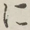 글자 に