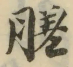 Located 䐤