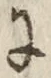 文字に