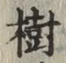 글자 樹
