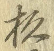 杉 위치 확인됨