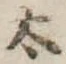 太 위치 확인됨