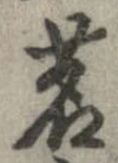 位置定マレル茗