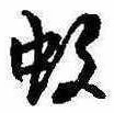 位置 確認된 蚊