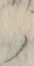 𡨸ノ