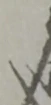 位置 確認된 之