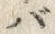 字ば