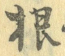 根 위치 확인됨