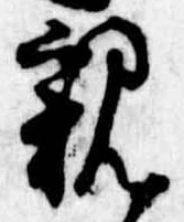 位置定マレル親