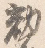 已定位勧