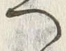 「へ」字