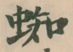 蜘 위치 확인됨
