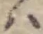 Đã định vị 𛂞