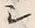 文字シ