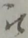 位置定マレル被