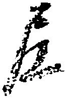 尼の位置